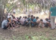 Gerebek Sarang Narkoba, TNI Amankan 20 Terduga Pelaku