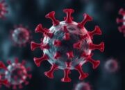 Waspadai Penyebaran Flu Burung Dan Virus HMPV