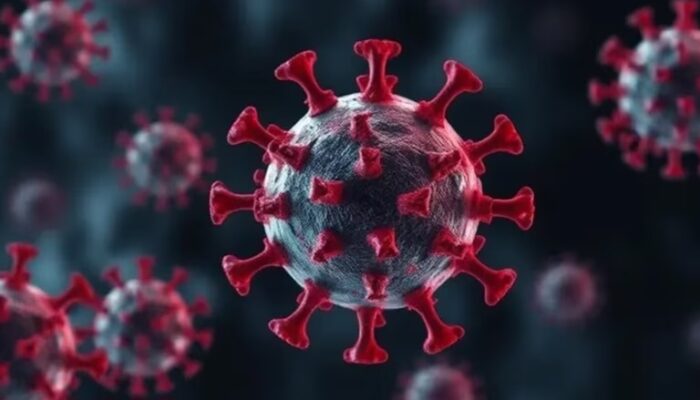 Waspadai Penyebaran Flu Burung Dan Virus HMPV