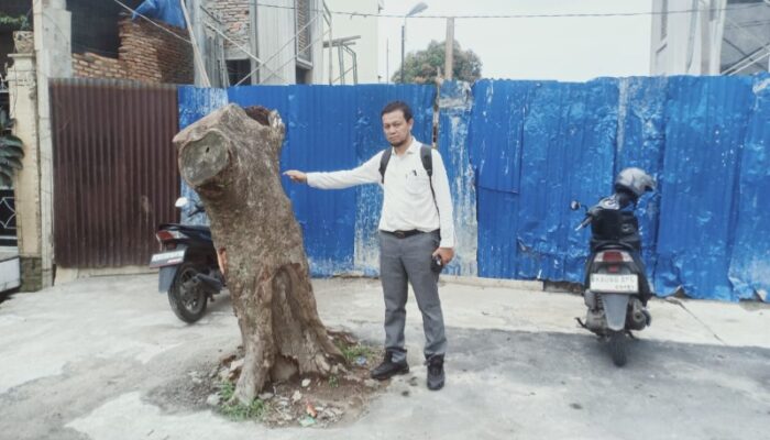 Pohon Ditebang, Warga Jl. Karantina Medan Timur Protes