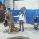 Pohon Ditebang, Warga Jl. Karantina Medan Timur Protes