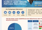 Cegah Perubahan Iklim, Indonesia Mulai Jualan Karbon