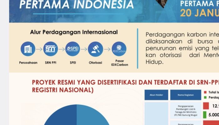 Cegah Perubahan Iklim, Indonesia Mulai Jualan Karbon
