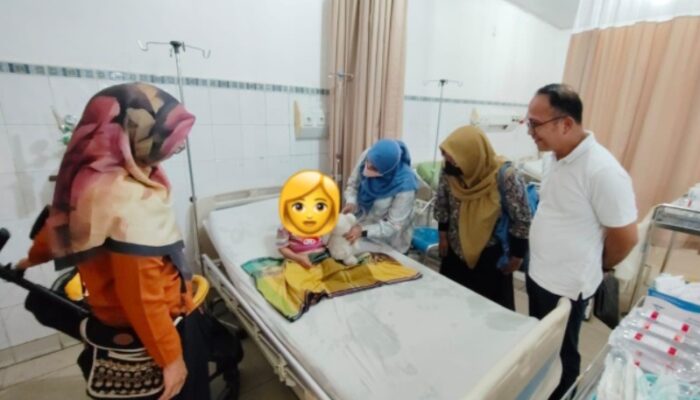 Pemprov Sumut Pastikan Pengobatan Gratis Untuk NN, Korban Penganiayaan di Nisel