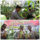 Kapolresta Banda Aceh, Kombes Pol Fahmi Irwan Ramli, memanen dan memperlihatkan jagung hasil panen perdana di Gampong Geuceu Meunara, Banda Aceh. (Waspada/Zafrullah)