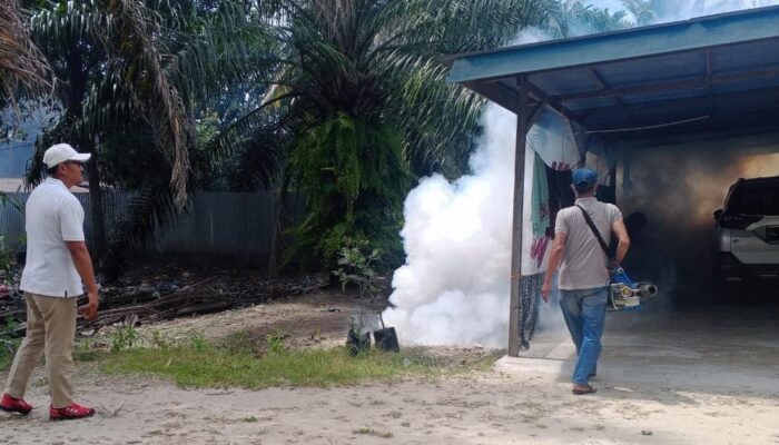 Empat Kasus DBD, Langkah Cepat Dinkes Fogging Di Singkil Utara