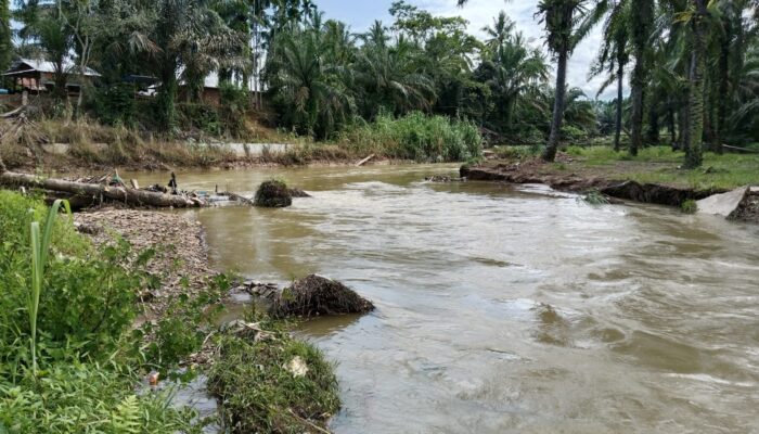 Beberapa Kali Diperbaiki Dek Saluran Irigasi Balakka Sitokkon Kembali Jebol