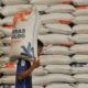 Harga Beras Alami Kenaikan Mulai Dari Giling, Grosir Dan Eceran