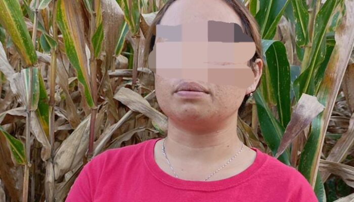 Penyebar Video Live Penculikan Anak Di Samosir Lakukan Klarifikasi
