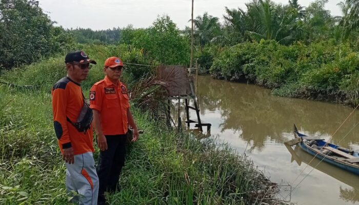 Soal Kemunculan Buaya, BPBD Tingkatkan Pengawasan