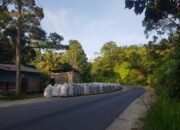 Jalan Lintas Nasional Rawan Kecelakaan Butuh Perbaikan