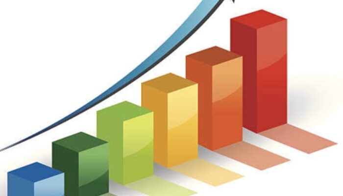 Pertumbuhan Ekonomi Indonesia Akhir Tahun 2024 Sebesar 5,02 Persen