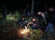 Pencari Kayu Temukan Kerangka Manusia Di Kebun Kelapa