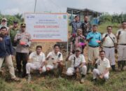 Tanam Jagung Hibrida, PT ANJA Dukung Asta Cita Presiden RI