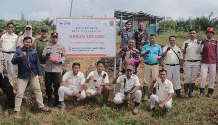 Tanam Jagung Hibrida, PT ANJA Dukung Asta Cita Presiden RI