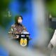 Wali Kota Banda Aceh Illiza Sa'aduddin Djamal.(Waspada/Ist)