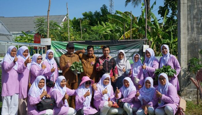 Farid Nyak Umar Panen Sayur-mayur Di Gampong Lampulo
