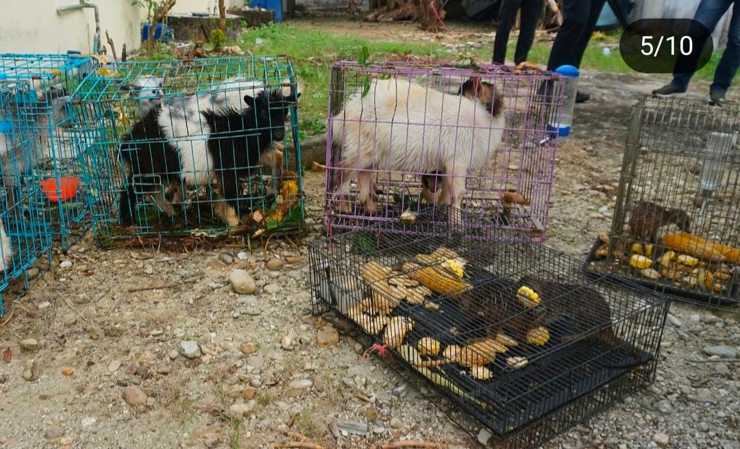 Kantor Pengawasan dan Pelayanan Bea dan Cukai Tipe Madya Pabean C Langsa saat melakukan pemusnahan barang bukti yang dapat lekas rusak atau membahayakan dan tidak mungkin untuk disimpan di Kantor Pengawasan dan Pelayanan Bea dan Cukai Tipe Madya Pabean C Langsa, Senin (17/2). Waspada/Munawar