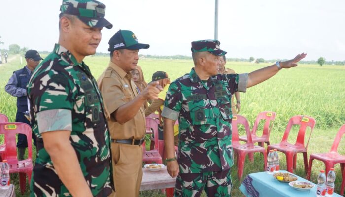 Irdam Iskandar Muda Tinjau Lokasi Optimalisasi Lahan Di Aceh Tamiang