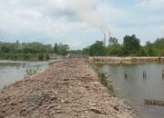 Nelayan Tradisional Di Pangkalansusu Terancam