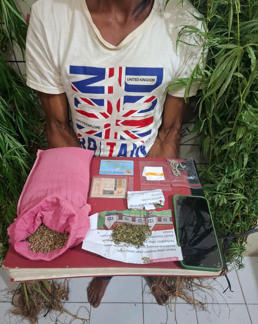 Di Sela-sela Tanaman Nilam, Warga Aceh Selatan Tanam Ganja Seluas 2 Hektar