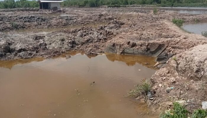 DPP KNTI Minta KPK Usut Program TORA Yang Rugikan Nelayan Pangkalansusu