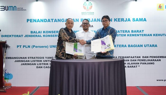 PLN Dan BKSDA Jalin Sinergi Untuk Bangun Sistem Kelistrikan Berwawasan Lingkungan