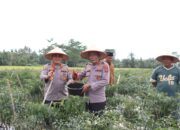 Dir Binmas Polda Aceh Tinjau Lahan Pangan Di Aceh Tamiang