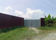 48 Hektare Kawasan Hutan Di Pesisir Pantai Deliserdang Dipagari Seng