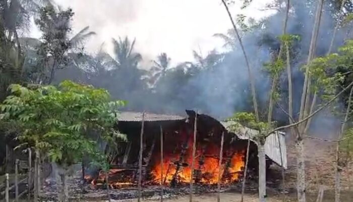 Pemilik Ke Tambak, Rumah Janda Dua Anak Ludes Terbakar