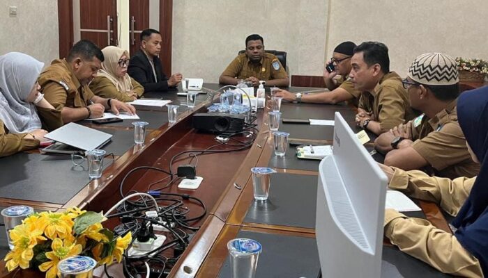 Kadinkes Kunjungi RSUD Langsa: Semua Pelayanan Kesehatan Berjalan Normal