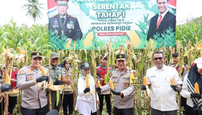 Wakapolda Aceh Panen 3,1 Ton Jagung Di Pidie