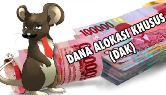 Dugaan Mark Up DAK SLB Madina Miliaran Rupiah, Kepala Sekolah Bungkam