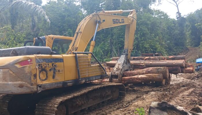 Hutan Di Humbahas Dibabat, Pemanfaat Air Menjerit