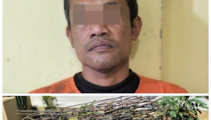 Polres P.Siantar Tahan Pelaku Curat Asal Sergei