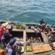 Operasi Kilat, KRI Karotang-872 Cegah Selundupan PMI Dan Satwa Langka