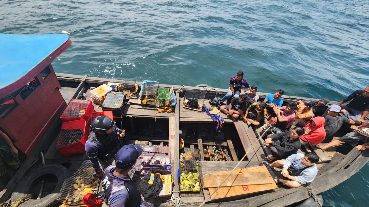 Operasi Kilat, KRI Karotang-872 Cegah Selundupan PMI Dan Satwa Langka Operasi Kilat, KRI Karotang-872 Cegah Selundupan PMI Dan Satwa Langka