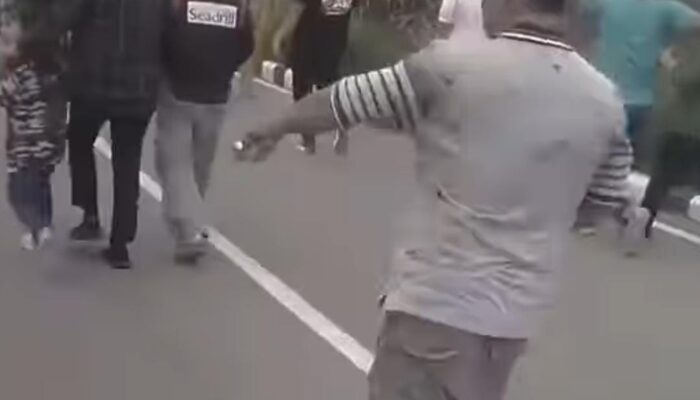 Viral Wisatawan Diserang Lebah Di Sibea-bea, Lintong: Belum Tahu Penyebabnya