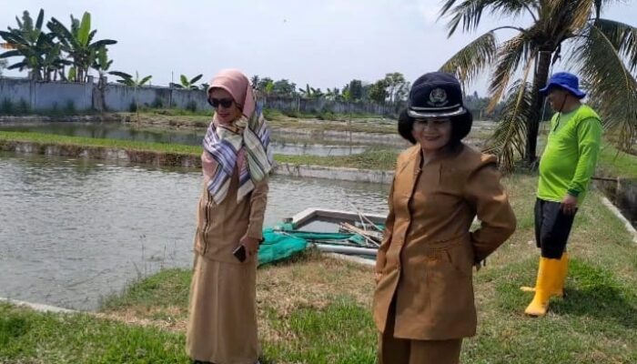 Kadis Perikanan Monitoring BBI Melati II