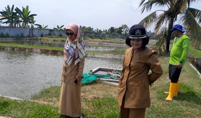 Kadis Perikanan Monitoring BBI Melati II