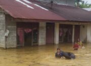 Ratusan Rumah Terendam Banjir Di 4 Kecamatan Aceh Barat