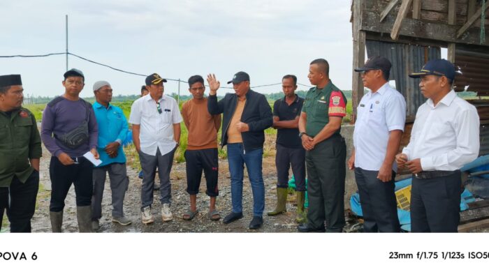 Terkait Pagar Lahan 40.08 Ha, Disesalkan Absennya Pemilik PT Tun Sewindu