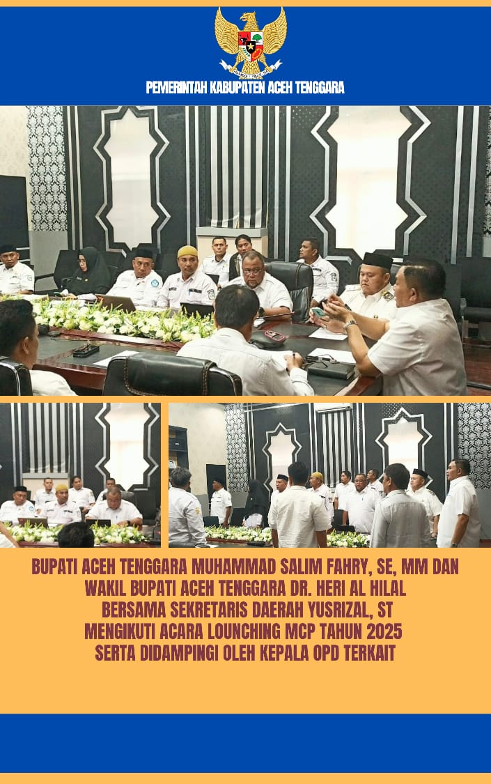 Pemkab Agara Ikuti Launching MCP 2025 Waspada/Ist
