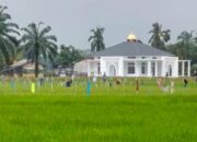 Viral, Masjid Megah Di Tengah Hamparan Padi Di Desa Merbau Dua, Aceh Timur