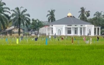 Masjid Baitul Jannah yang berdiri megah di tengah hamparan padi warga di Desa Merbau Dua, Kecamatan Birem Bayeun, Kabupaten Aceh Timur, Jumat (7/3). Waspada/dede