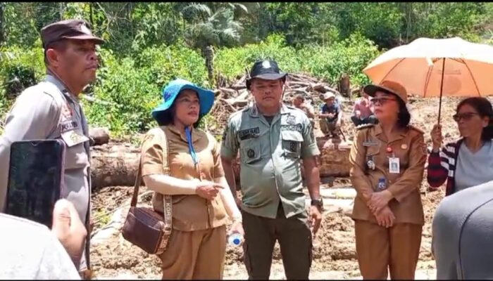 Penebangan Hutan Sikirang Tidak Ditemukan Kerusakan Lingkungan