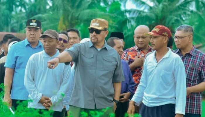 Bupati Bahar Inginkan Petani Cabai Di Batubara Jadi OKB