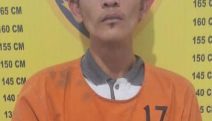 Polres P.Siantar Ringkus Residivis Narkoba Pelaku Curat