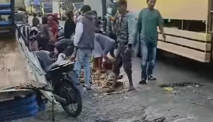 2 Kendaraan Laga Kambing Di Jalinsum Torgamba, Warga Jarah Telur Ayam