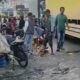 Sejumlah warga menjarah telur ayam dalam kecelakaan truk ekspedisi dengan mobil bak terbuka (pick up) muatan telur ayam di ruas Jalinsum Torgamba, tepatnya di persimpangan Bis II, Desa Aek Batu, Kec. Torgamba, Kab. Labusel, Minggu (2/3/2025) pagi. Waspada/Ist